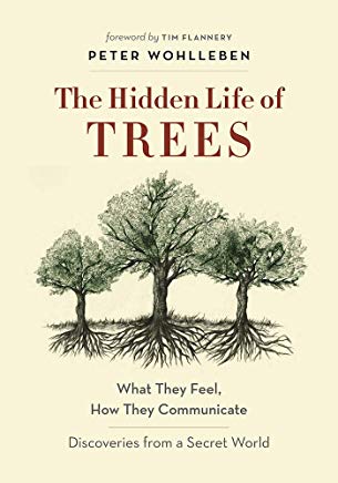 book cover The Hidden Life of Trees